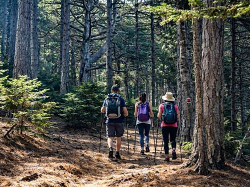 Private guided hiking experience in Taygetos